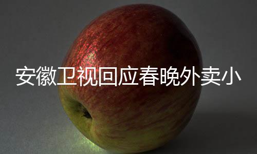 安徽卫视回应春晚外卖小哥身份争议
