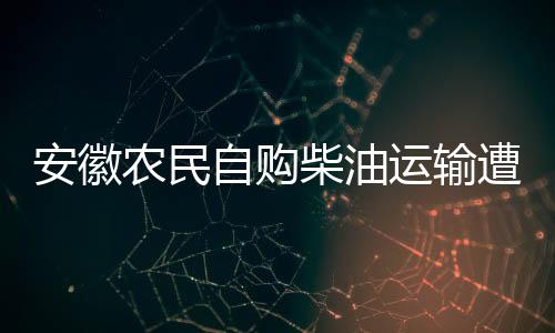 安徽农民自购柴油运输遭罚事件，背景、争议与反思