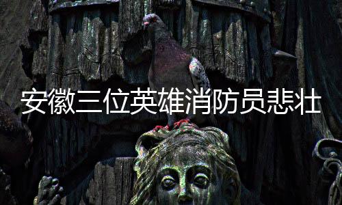 安徽三位英雄消防员悲壮牺牲，无私坚守守护民众安全，家人默默接受哀痛代价