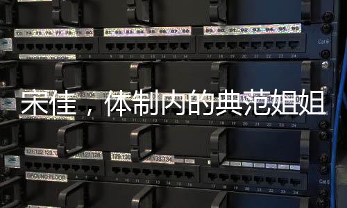 宋佳，体制内的典范姐姐