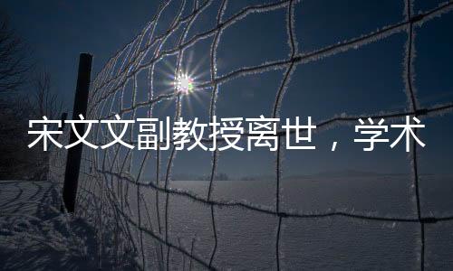 宋文文副教授离世，学术界的巨大损失