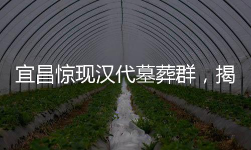 宜昌惊现汉代墓葬群，揭示千年文明的瑰宝
