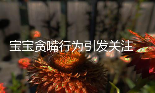宝宝贪嘴行为引发关注，如何应对孩子不当哭闹求食