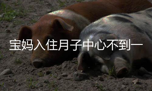 宝妈入住月子中心不到一天投湖轻生背后的故事与反思
