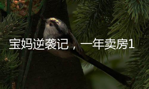 宝妈逆袭记，一年卖房158套，年薪百万的奋斗之路