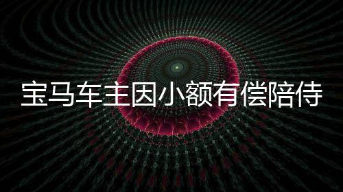 宝马车主因小额有偿陪侍被举报事件曝光