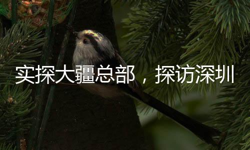实探大疆总部，探访深圳科技创新的心脏地带——夜幕下的忙碌场景令人惊叹