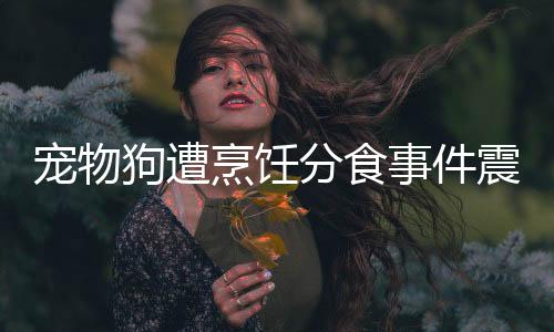 宠物狗遭烹饪分食事件震惊社会，道德伦理与法律责任的思考