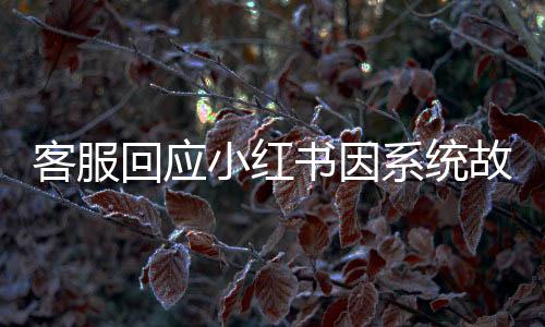 客服回应小红书因系统故障短暂崩溃，一二三认清情况，四五六解析原因，七八九展望未来，十提醒用户