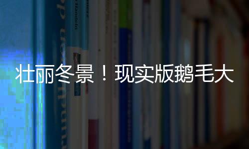 壮丽冬景！现实版鹅毛大雪纷纷来袭