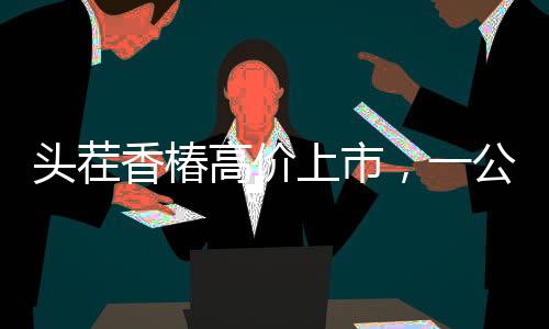 头茬香椿高价上市，一公斤240元抢鲜尝鲜