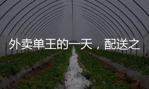 外卖单王的一天，配送之路上的荣耀与挑战