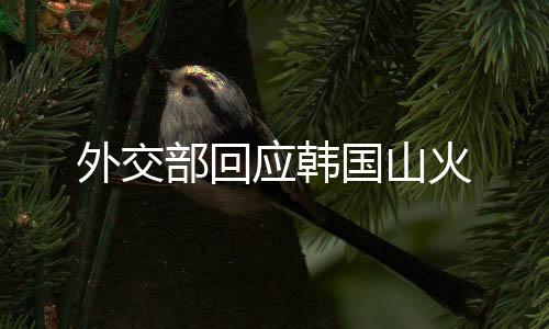 外交部回应韩国山火