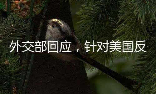 外交部回应，针对美国反制措施的坚定立场与应对策略