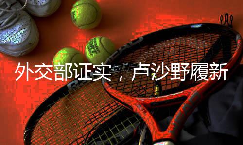 外交部证实，卢沙野履新，展现新领导力