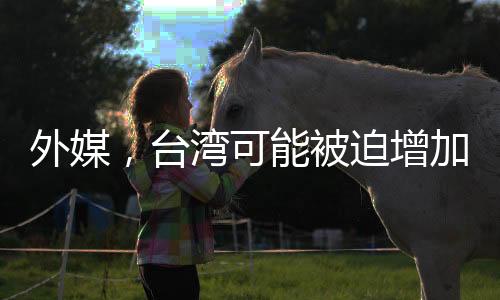 外媒，台湾可能被迫增加采购美国武器