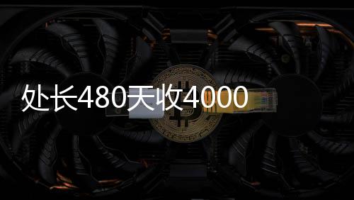 处长480天收4000万，探究背后的故事与深意
