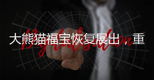 大熊猫福宝恢复展出，重回展区的国宝展现生机与活力