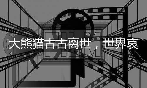 大熊猫古古离世，世界哀悼一颗璀璨星辰的陨落