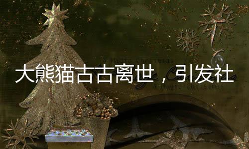 大熊猫古古离世，引发社会广泛哀悼