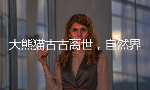 大熊猫古古离世，自然界与世界的失落