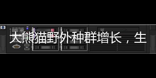 大熊猫野外种群增长，生态复苏的喜讯