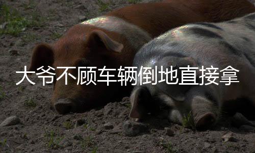 大爷不顾车辆倒地直接拿走起落架，一则关于勇气与责任的故事