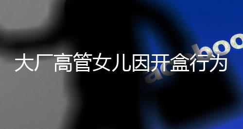 大厂高管女儿因开盒行为引发关注事件新闻分析文章标题