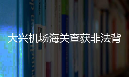 大兴机场海关查获非法背运卷烟案，涉案卷烟达26600支