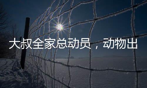 大叔全家总动员，动物出击，共抓老鼠大作战