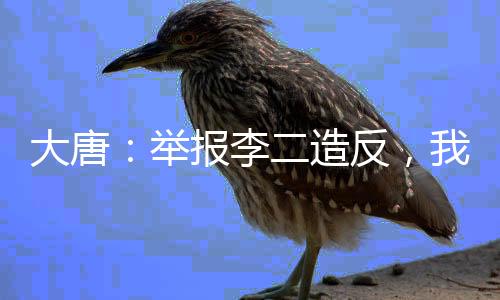 大唐：举报李二造反，我当上皇帝