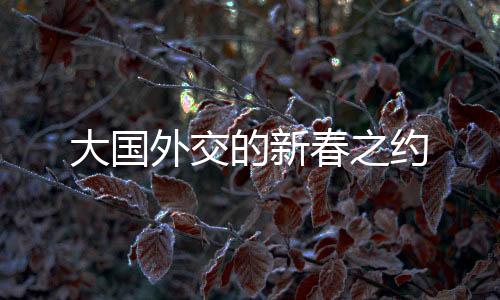 大国外交的新春之约