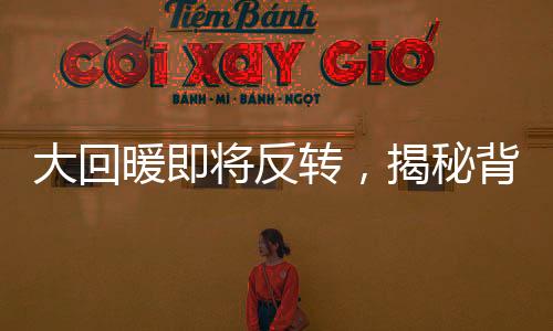 大回暖即将反转，揭秘背后趋势与发展新动力