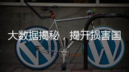 大数据揭秘，揭开损害国家税收利益的司马南真面目