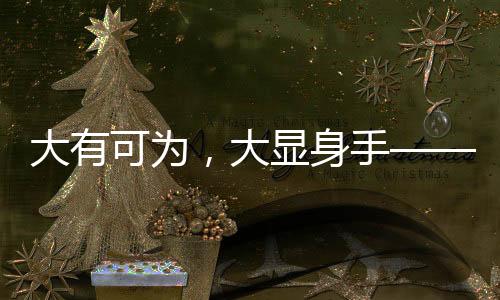 大有可为，大显身手——各领域精英施展才华的舞台