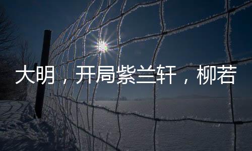 大明，开局紫兰轩，柳若馨当花魁