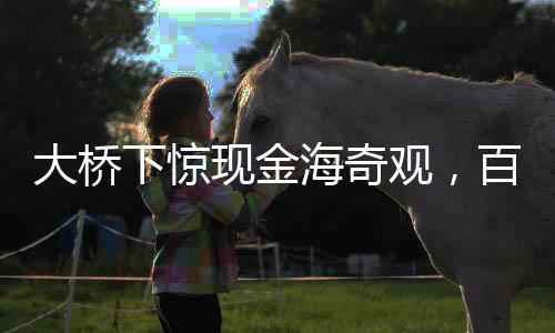 大桥下惊现金海奇观，百元大钞散落一地，警方迅速到场调查