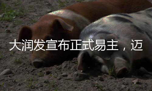 大润发宣布正式易主，迈入新的商业篇章