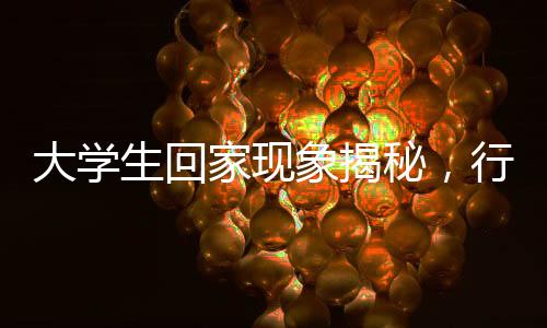 大学生回家现象揭秘，行李箱变衣柜，反映家庭与社会变迁的微观故事