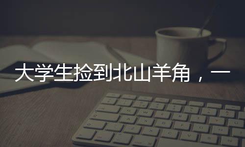 大学生捡到北山羊角，一场意外的自然奇缘揭秘