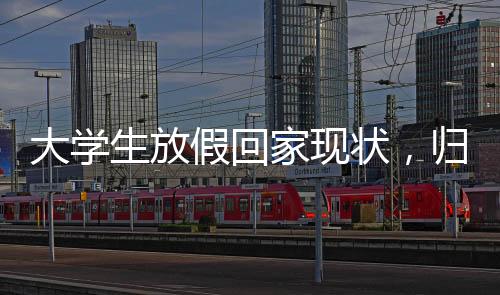 大学生放假回家现状，归途百态与社会心理的镜像映射