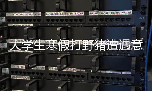 大学生寒假打野猪遭遇意外身亡，悲剧警示社会关注安全教育
