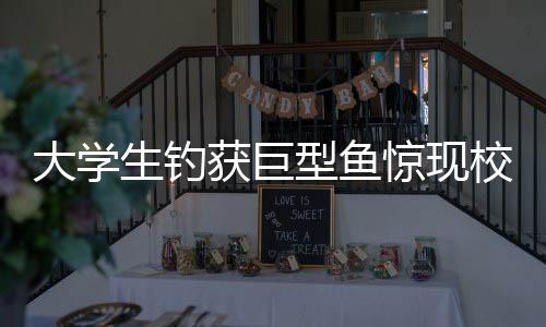 大学生钓获巨型鱼惊现校园，炫耀两小时，刷新校园记录！