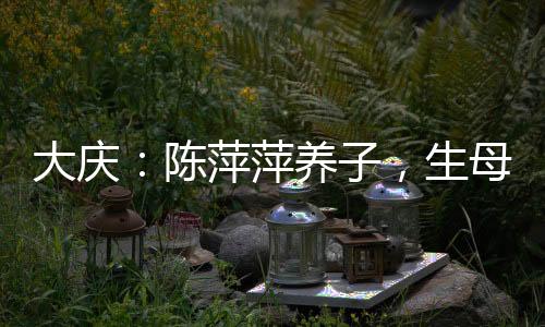 大庆：陈萍萍养子，生母叶轻眉