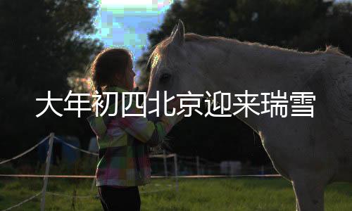 大年初四北京迎来瑞雪