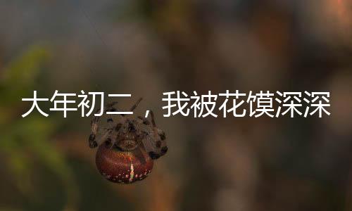 大年初二，我被花馍深深吸引