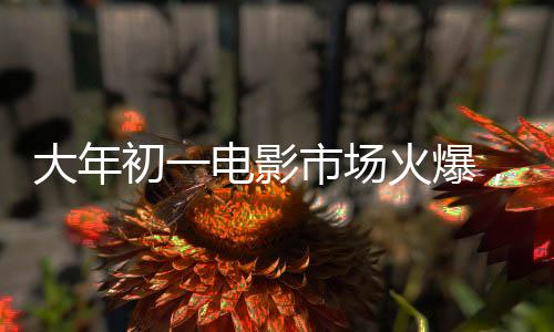 大年初一电影市场火爆，票房排名火热出炉