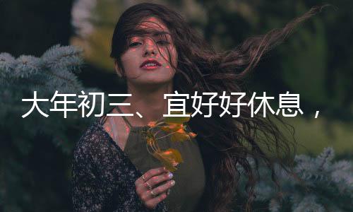 大年初三、宜好好休息，迎接新的一年