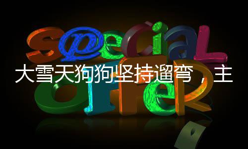 大雪天狗狗坚持遛弯，主人无奈被拽，尽显深厚宠缘