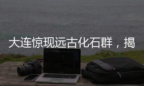 大连惊现远古化石群，揭秘4亿年前生命印记！神奇之处吸引目光，业界掀起热潮！